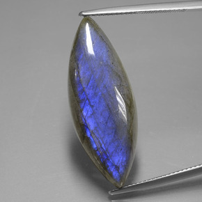 Labradorite Grigio blu scuro naturale da 18.92 ct, Taglio marquise, Trasparente