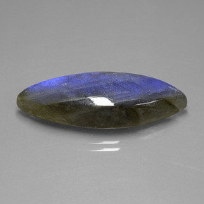 Labradorite Grigio blu scuro naturale da 18.92 ct, Taglio marquise, Trasparente