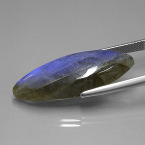 Labradorite Grigio blu scuro naturale da 18.92 ct, Taglio marquise, Trasparente