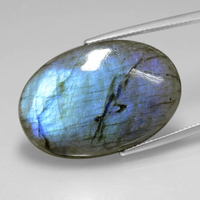 Labradorite Grigio blu scuro naturale da 25.87 ct, Taglio ovale, Trasparente