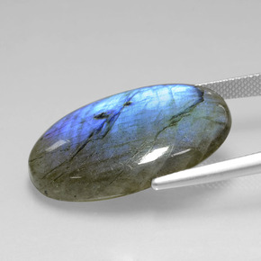 Labradorite Grigio blu scuro naturale da 25.87 ct, Taglio ovale, Trasparente