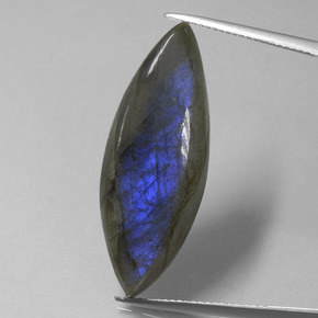 Labradorite naturale blu da 18,92 ct, marchesa, trasparente