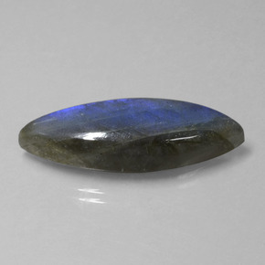 Labradorite naturale blu da 18,92 ct, marchesa, trasparente