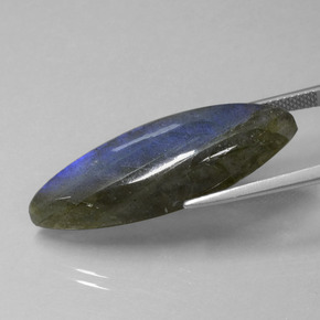 Labradorite naturale blu da 18,92 ct, marchesa, trasparente