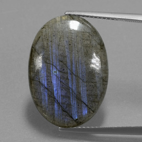 Labradorite Grigio blu scuro naturale da 15.48 ct, Taglio ovale, Trasparente