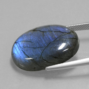 Labradorite naturale blu da 20,59 ct, taglio ovale, trasparente