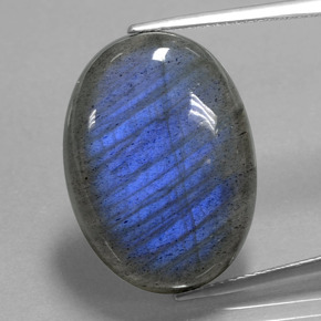 Labradorite Grigio blu scuro naturale da 21.85 ct, Taglio ovale, Trasparente