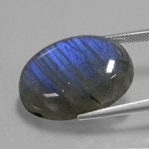 Labradorite Grigio blu scuro naturale da 21.85 ct, Taglio ovale, Trasparente