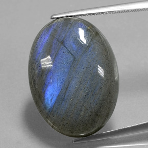 Labradorite Grigio blu scuro naturale da 21.99 ct, Taglio ovale, Trasparente
