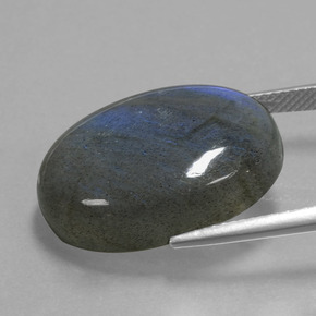 Labradorite Grigio blu scuro naturale da 21.99 ct, Taglio ovale, Trasparente