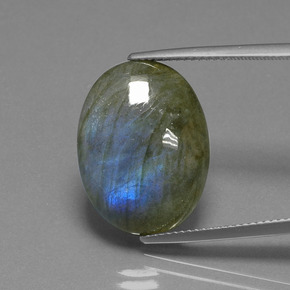 Labradorite Grigio blu scuro naturale da 15.85 ct, Taglio ovale, Traslucido