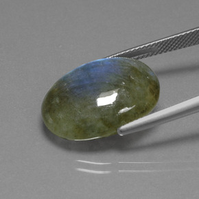 Labradorite Grigio blu scuro naturale da 15.85 ct, Taglio ovale, Traslucido