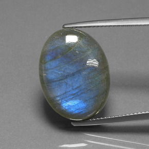 Labradorite naturale blu da 16,93 ct, taglio ovale, traslucido