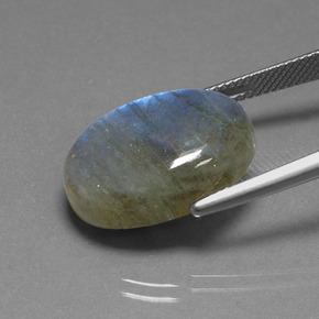 Labradorite naturale blu da 16,93 ct, taglio ovale, traslucido
