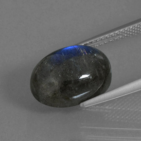 Labradorite naturale blu da 5,60 ct, taglio ovale, traslucido