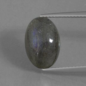 Labradorite Grigio blu scuro naturale da 5.82 ct, Taglio ovale, Traslucido