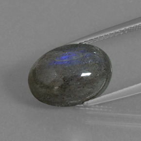 Labradorite Grigio blu scuro naturale da 5.82 ct, Taglio ovale, Traslucido