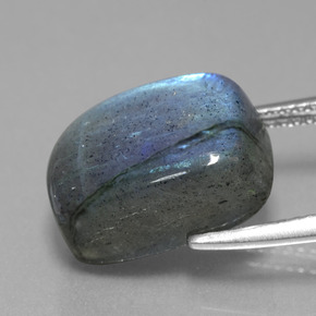 Labradorite grigio blu scuro naturale da 10,38 ct, taglio a cuscino, traslucido