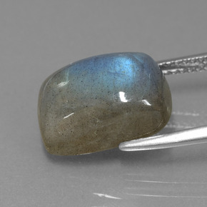 Labradorite Grigio blu scuro naturale da 7.88 ct, Taglio a cuscino, Traslucido