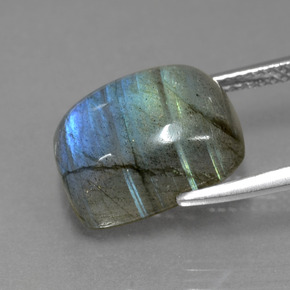 Labradorite Grigio blu scuro naturale da 9.03 ct, Taglio a cuscino, Traslucido