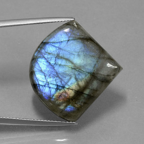 Labradorite Grigio blu scuro naturale da 28.32 ct, Forma fantasia, Traslucido