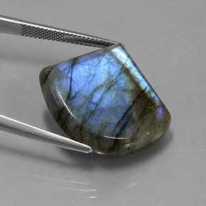 Labradorite Grigio blu scuro naturale da 28.32 ct, Forma fantasia, Traslucido
