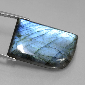 Labradorite naturale blu da 39,46 ct, forma fantasia, traslucido