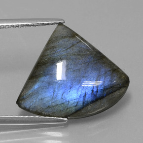 Labradorite Grigio blu scuro naturale da 10.87 ct, Forma fantasia, Traslucido