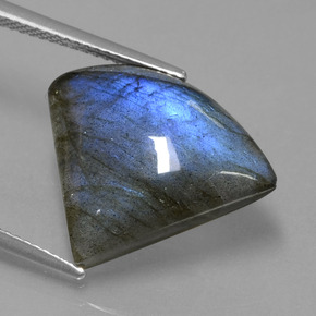 Labradorite Grigio blu scuro naturale da 10.87 ct, Forma fantasia, Traslucido