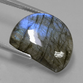 Labradorite Grigio blu scuro naturale da 12.78 ct, Forma fantasia, Traslucido