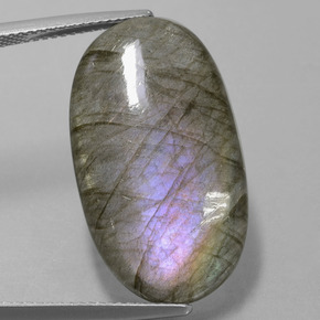 Labradorite Grigio blu scuro naturale da 18.41 ct, Taglio ovale, Traslucido