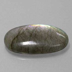 Labradorite Grigio blu scuro naturale da 18.41 ct, Taglio ovale, Traslucido