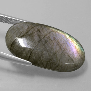 Labradorite Grigio blu scuro naturale da 18.41 ct, Taglio ovale, Traslucido