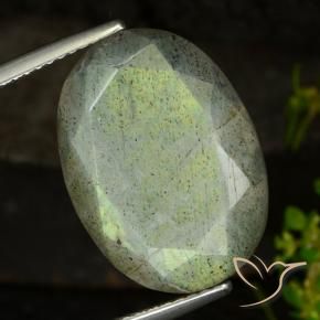 Labradorite Multicolore naturale da 14.58 ct, Ovale, Traslucido
