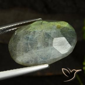 Labradorite Multicolore naturale da 14.58 ct, Ovale, Traslucido