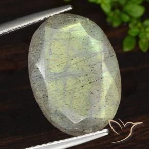 Labradorite Multicolore naturale da 11.50 ct, Ovale, Traslucido