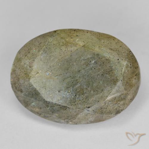 Labradorite Multicolore naturale da 11.84 ct, Ovale, Traslucido