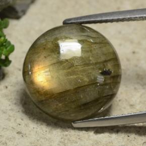 Labradorite naturale multicolore da 9,74 ct, taglio rotondo, traslucido