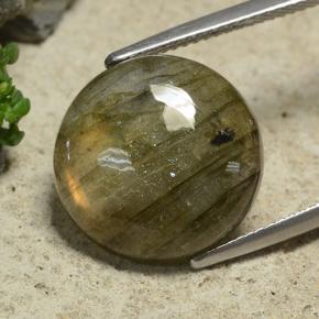 Labradorite naturale multicolore da 9,74 ct, taglio rotondo, traslucido