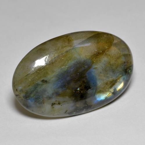 Labradorite naturale multicolore da 15,47 ct, taglio ovale, traslucido