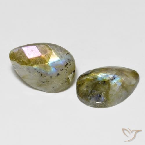 Gemme di Labradorite Multicolore naturale da 15.67 ct, Forma a pera, Traslucido