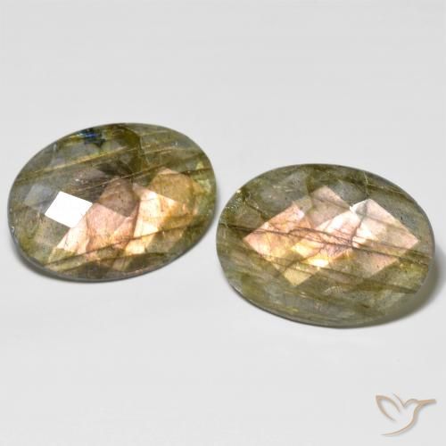 31.65ctw Naturale Multicolore Labradorite, Ovale, Traslucido