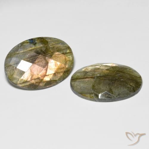 Gemme di Labradorite Multicolore naturale da 31.65 ct, Ovale, Traslucido