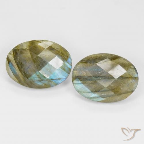 Gemme di Labradorite Multicolore naturale da 16.81 ct, Ovale, Traslucido