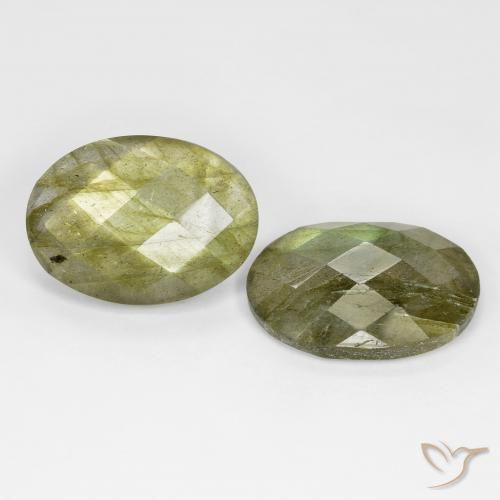 Gemme di Labradorite Multicolore naturale da 16.55 ct, Ovale, Traslucido