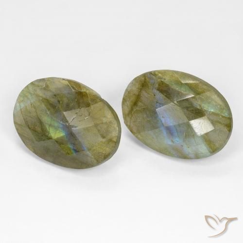 Gemme di Labradorite Multicolore naturale da 15.65 ct, Ovale, Traslucido