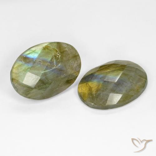 Gemme di Labradorite Multicolore naturale da 15.65 ct, Ovale, Traslucido