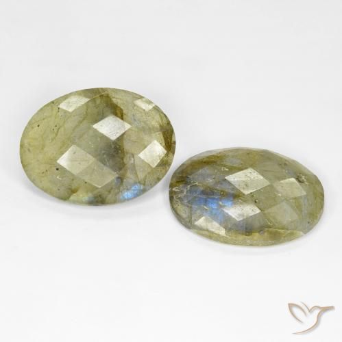 Gemme di Labradorite Multicolore naturale da 20.44 ct, Ovale, Traslucido