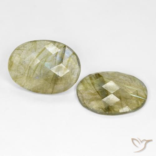 Gemme di Labradorite Multicolore naturale da 16.61 ct, Ovale, Traslucido