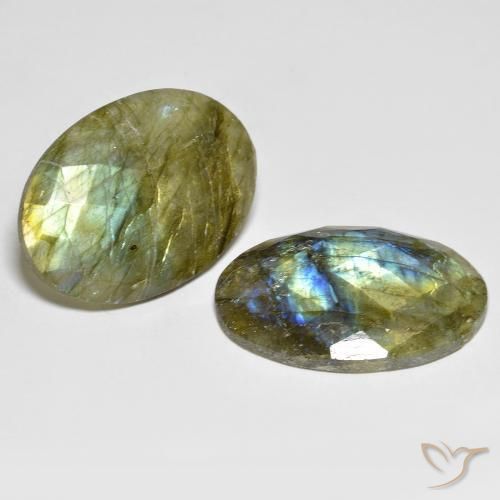 Gemme di Labradorite Multicolore naturale da 32.34 ct, Ovale, Traslucido